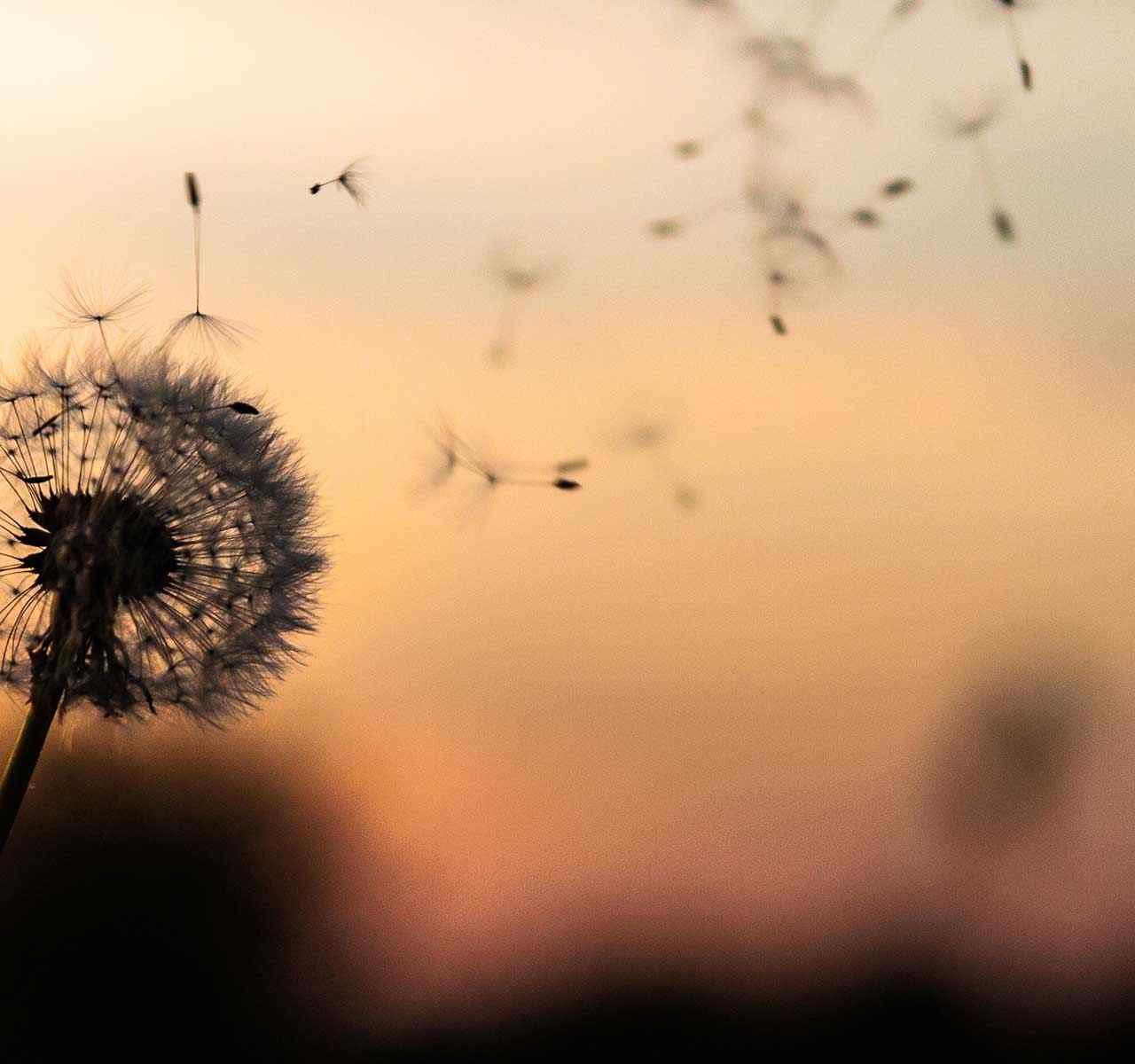 https://headup.co.za/wp-content/uploads/2018/09/post_02-1280x1200.jpg