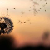 https://headup.co.za/wp-content/uploads/2018/09/post_02-160x160.jpg